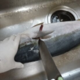 初心者でもできる 寒ブリ三枚下し レシピ 作り方 By Startrek 楽天レシピ 初心者でもできる 寒ブリ三枚下し レシピ 作り方 By Startrek 楽天レシピ